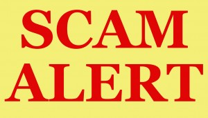 Tax Scam Identity Fraud CPA Help