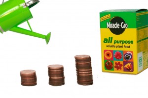 Growth Business CPA Financial Planning